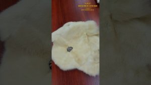 Норковая шуба для собаки.