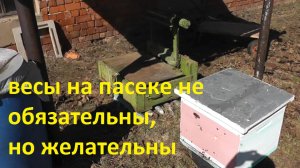 Организовал контрольный улей