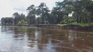 Покатушки на SUZUKI DF 6 AS.