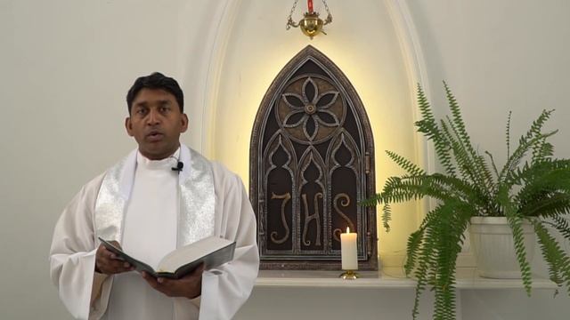 Размышление на торжество Успения Пресвятой Богородицы, о. Харальд Менезес SVD смотреть онлайн