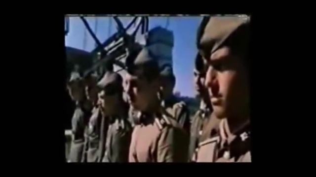 тввпсу смотреть онлайн