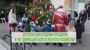 Новый год и Ёлочка в лесном хозяйстве. 29.12.2023