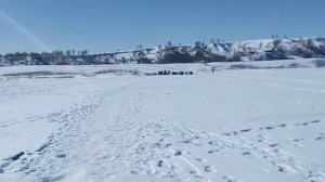 Рыбалка, Барнаул