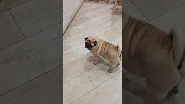 Митюнюшка