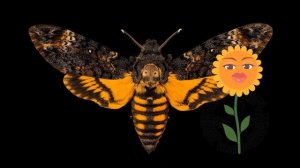 0+ Какие бывают бабочки? От гусеницы до бабочки. Почемучка. Детская энциклопедия.