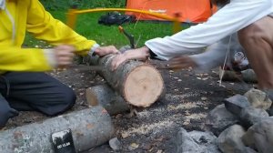 Пила Экипоника лучковая