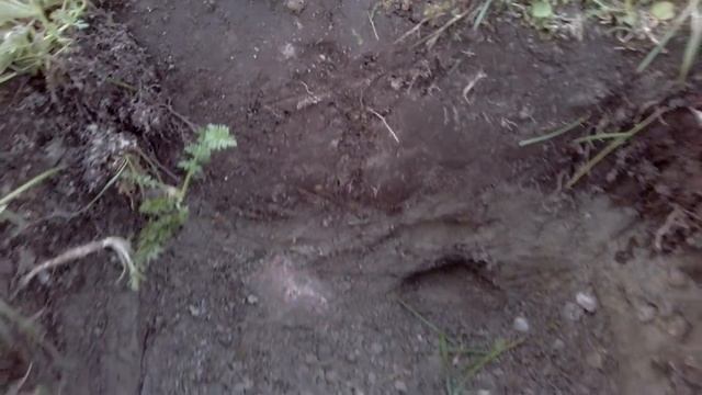 Mikron NRG 150 - тест профессионального металлоискателя на тяжёлых грунтах! смотреть онлайн