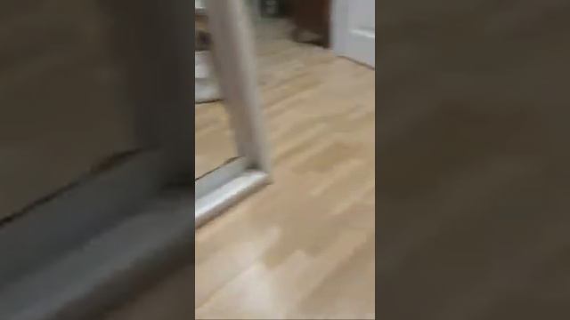 Запятушка). смотреть онлайн