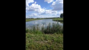 Платная рыбалка, в Поярково.