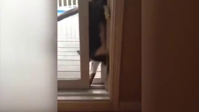 просочился