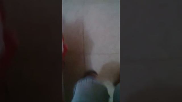 Mis audífonos nuevos смотреть онлайн