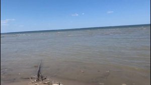 Родственные души:7 признаков,что вы встретили свою любовь