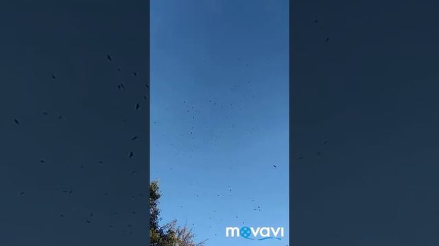 Эксперимент смотреть онлайн