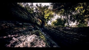 МАВЛИД - ДЕНЬ РОЖДЕНИЯ ПРОРОКА МУХАММАДА ﷺ | МОЖНО ЛИ ОТМЕЧАТЬ МАВЛИД? #Ислам #Мавлид #Пророк
