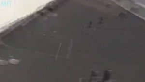 Гигантские Насекомые которых Удалось Снять на Камеру