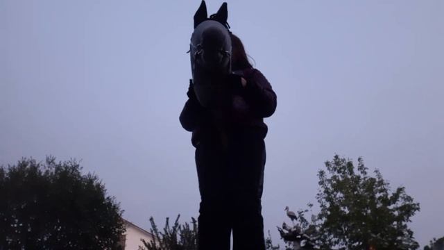 Влог тренировка/хоббихорсинг?/выездка смотреть онлайн