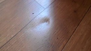 Какой линолеум выбрать?