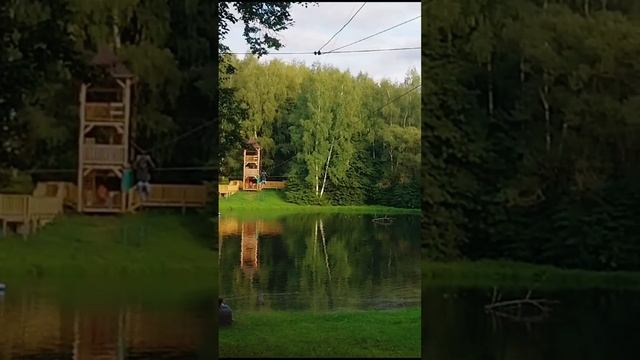 На тарзанке