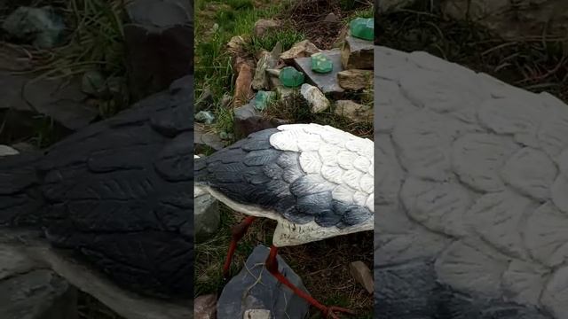 Краткий обзор садовых скульптур из бетона.