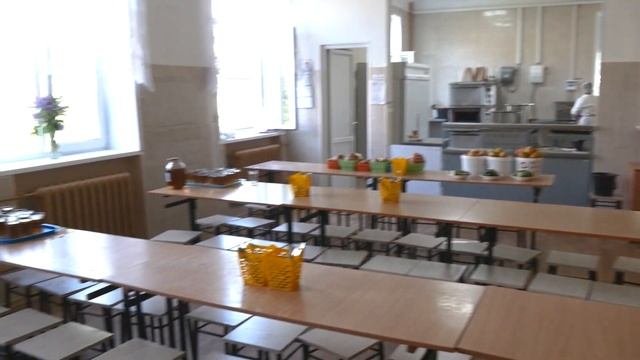 Проверка готовности пришкольных лагерей