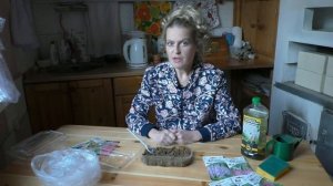 Стратификация семян - как делать правильно