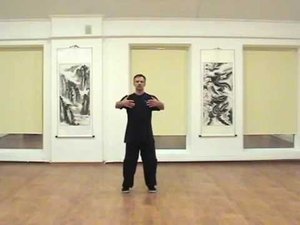 Цигун "Столбовое стояние" /Чжан чжуан/ внутренняя работа с доктором Бутримовым.