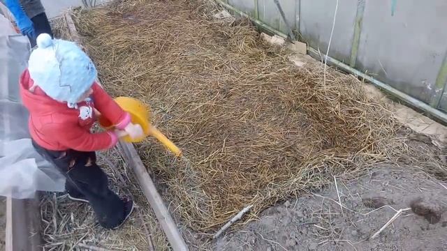 Теплая сенная грядка в теплице
