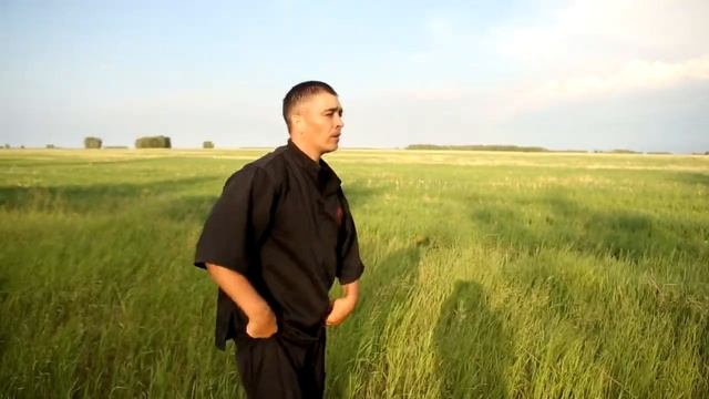 Тао защит 2 руками - практика (половина формы) смотреть онлайн