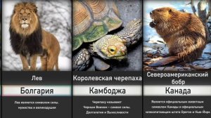 Национальные Животные и Символы Стран