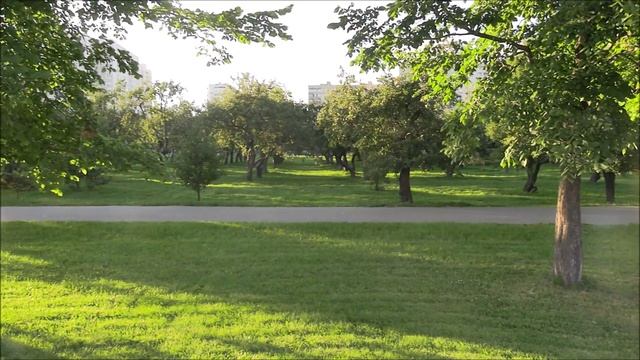 Против дублера Кутузовского проспекта – за яблоневый сад смотреть онлайн