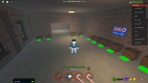 как добыть принтер для дома в огайо