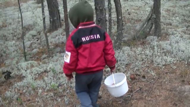 Тихая охота! Много Белых грибов! Грибной бум продолжается! смотреть онлайн