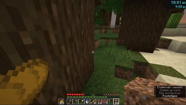Former World Record & First sub20 - Minecraft 1.14 Speedrun [19:30] смотреть онлайн