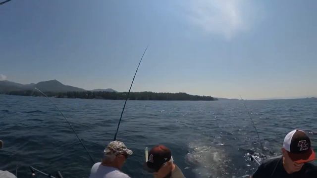 Half day of King Salmon fishing in Ketchikan Alaska @knudsoncovemarina7554 смотреть онлайн