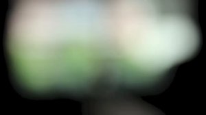 Canon EOS 600D Autofocus