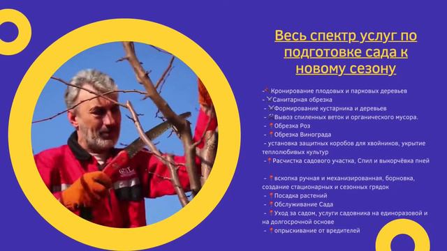 Обрезка плодовых деревьев