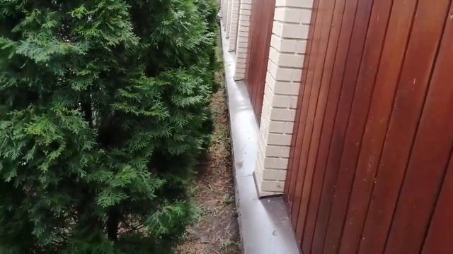 Защита дачи от кротов, весь сезон за 15 минут смотреть онлайн