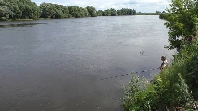 Рыбалка на Москва-реке в июле 2017 г. на поплавок Cralusso Bolo смотреть онлайн