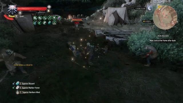 The Witcher 3: Universal Witcher Build: Aard Feline