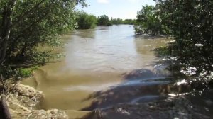 Река Калаус после дождей 26 05 2017г