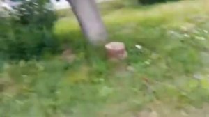 дороги в г.Сураж Брянской области