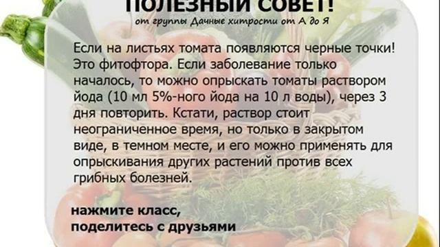 Полезные советы Дачникам и садоводам Дачные хитрости от А до Я 10 смотреть онлайн
