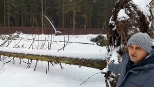 УЧАСТОК НА БОЛОТЕ | ПОСЛЕДСТВИЯ | Выбор участка