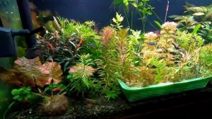 ч.4 WRGB светильник для аквариума своими руками.Финал.