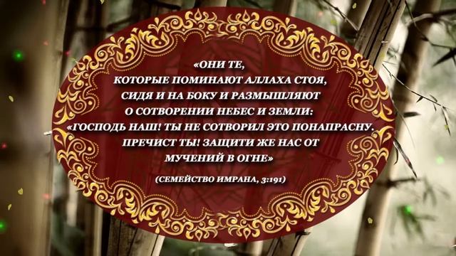Сердце Мусульманина бьется только ради служения Аллаху