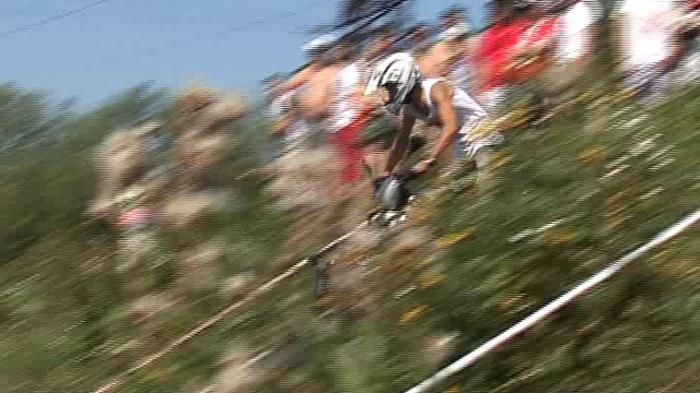 КВАДРАТ 2011