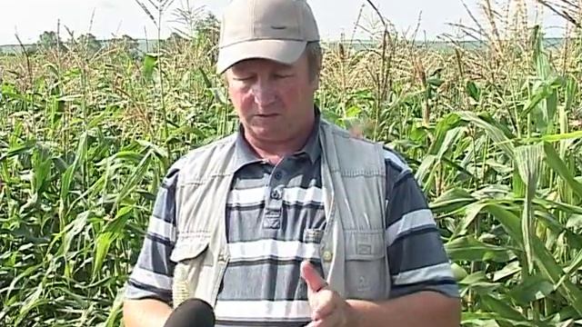 "Карусель" DeLaval в Кировской области смотреть онлайн