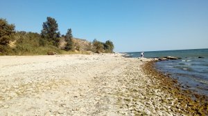 Цимлянское море. Дикий пляж. Сентябрь 2019 г