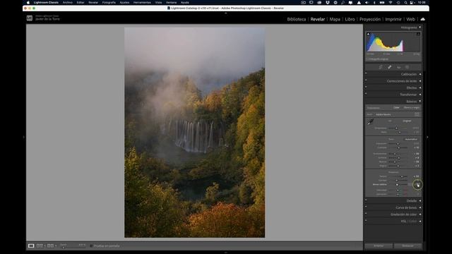 04 Revelado en Lightroom I