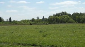 Аксаит сабантуй финал